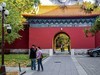 手机游拍20241105《58》