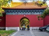 手机游拍20241105《58》