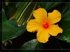 植物园拍花6