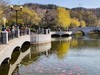 春 和 景 明 植 物 园