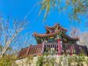 春 和 景 明 植 物 园
