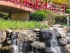 春 和 景 明 植 物 园