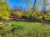 春 和 景 明 植 物 园