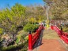 春 和 景 明 植 物 园