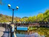 春 和 景 明 植 物 园