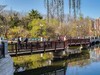 春 和 景 明 植 物 园