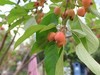 小区溜机