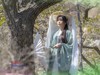 梨园树下（1）