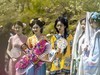 梨园树下（1）