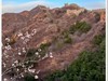 2025年-金山岭长城纪实抓拍-0449