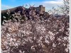 2025年-金山岭长城纪实抓拍-0449
