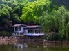 夏日随拍