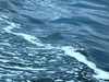 宁海游拍之二----海上风云