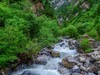 我只是把出去看到的随手记录下来（116）