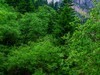 我只是把出去看到的随手记录下来（116）