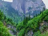 我只是把出去看到的随手记录下来（116）