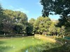 小区风景2[手机版]