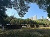 小区风景2[手机版]