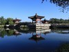 溜腿——溜机——溜乐趣（2）