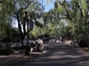 圆明园春游记