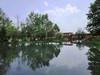 初夏的湿地一角（手机）