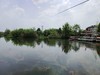 初夏的湿地一角（手机）