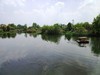初夏的湿地一角（手机）
