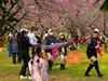 公园抓拍