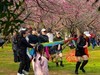公园抓拍