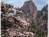 2025年-黄山风光纪实抓拍-0452