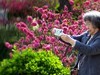 桃花岛游客