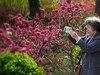 桃花岛游客