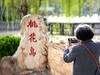 桃花岛游客