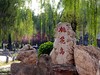 桃花岛游客