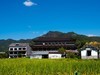 苍坡古村（上）