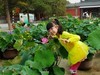 圆明园美荷