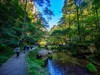 张家界游拍 104