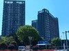春日游拍之十