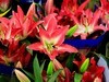 百合花=4