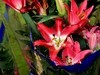 百合花=4