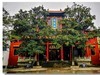武汉“归元寺”随拍