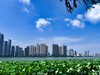 武汉城中沙湖风光