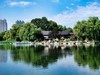 武汉城中沙湖风光