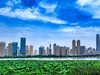 武汉城中沙湖风光