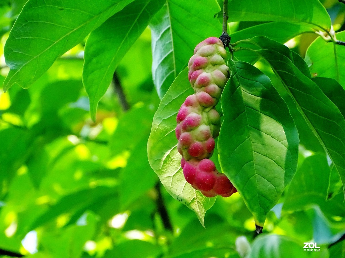 走走拍拍（2019.09.08-1）