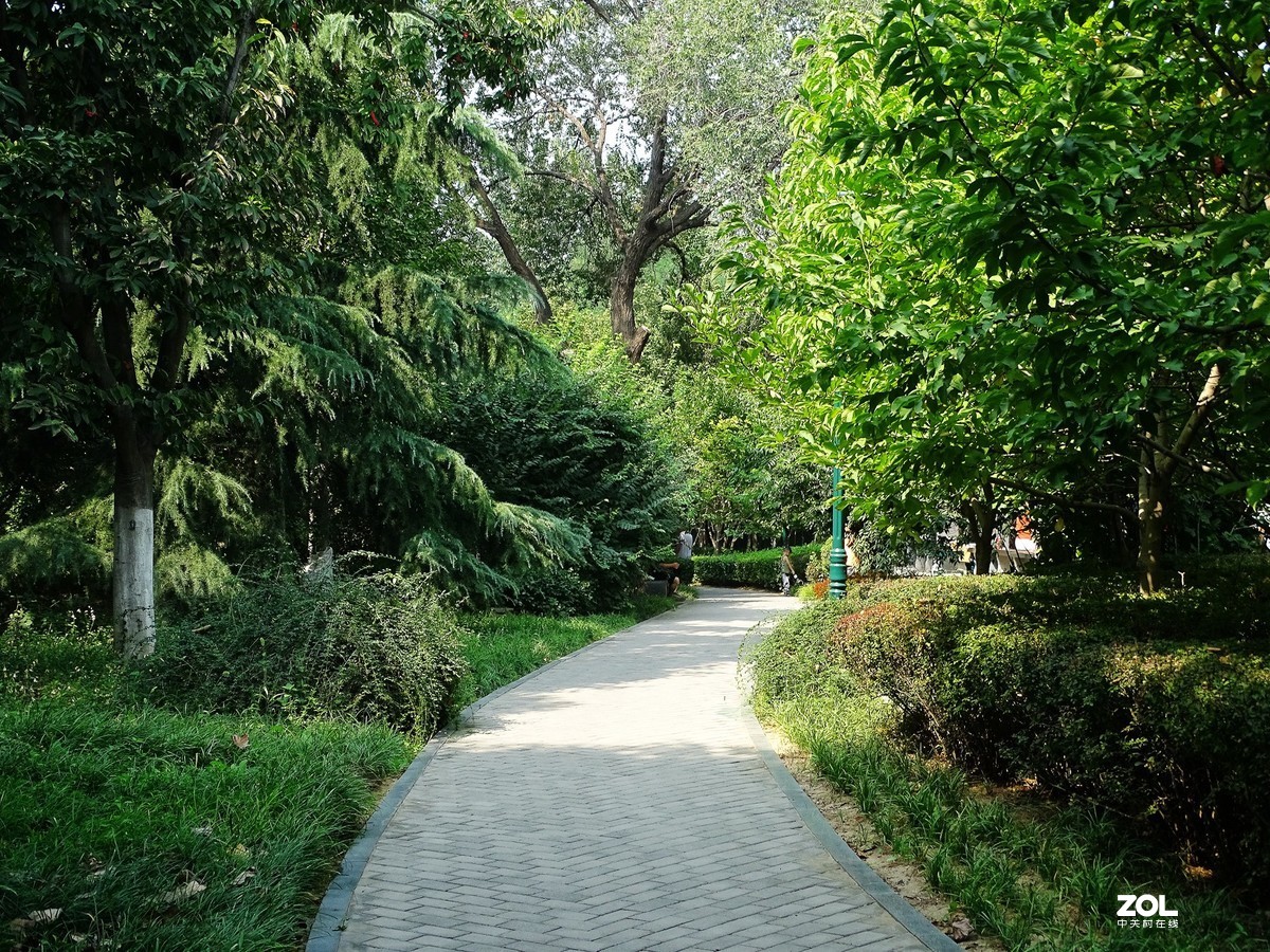 走走拍拍（2019.09.08-1）