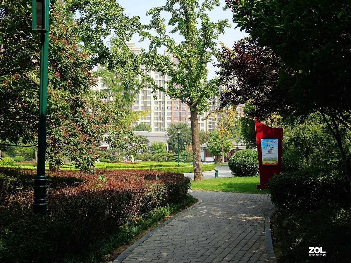 走走拍拍（2019.09.08-1）