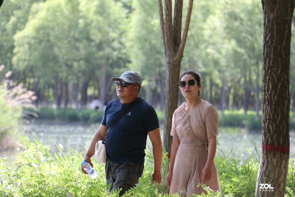 逛香山公园随拍