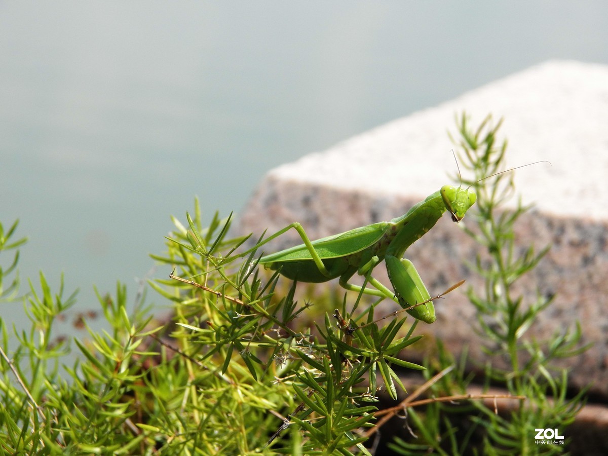 最近淘得一台z990，难得的是接近全新