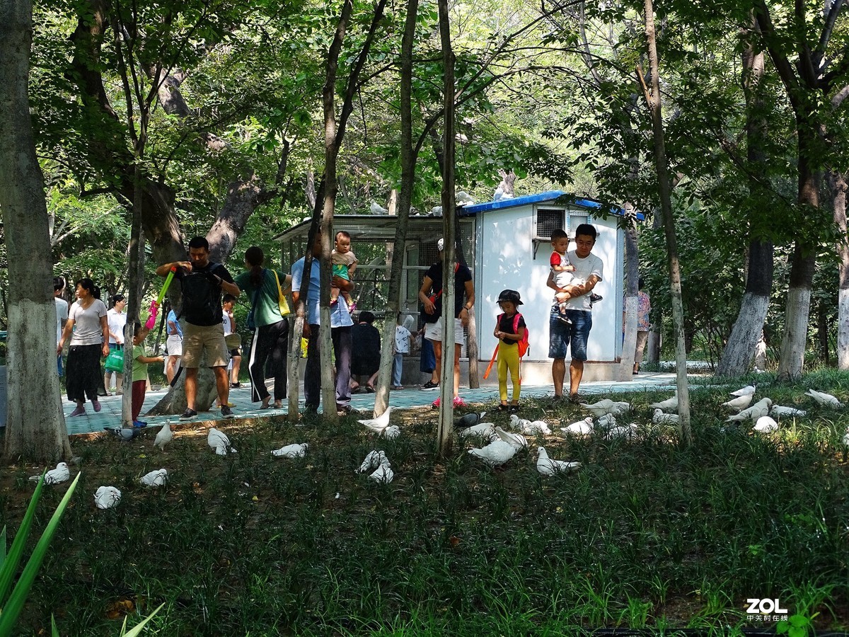 走走拍拍（2019.09.08-3）